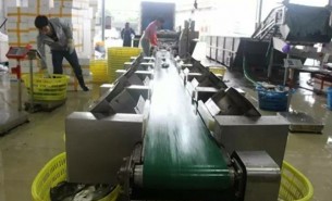 鱸魚分揀機揭秘珠海海鱸魚行業的龍頭企業