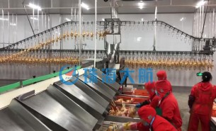 禽肉廠分揀生產線