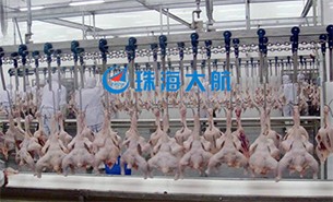 重量分揀設備如何實現整雞分選？