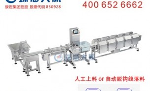 鴨胚分選機:屠宰場稱重分揀系統核心設備 大航智造