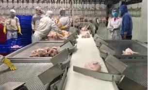 自動分選檢重秤功能特點(diǎn)及原理_高效_精準(zhǔn)_珠海大航