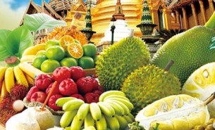 探索水果分揀機(jī)如何通過自動(dòng)化技術(shù)在果園、加工廠、保鮮庫及零售環(huán)節(jié)提高生產(chǎn)效率，降低成本，并確保水果品質(zhì)滿足市場需求。