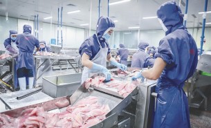 探索珠海大航重量分選機(jī)的無(wú)限可能