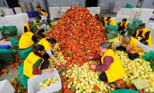 自動化分揀稱重設備：助力生鮮、凍貨及食品加工行業突破瓶頸