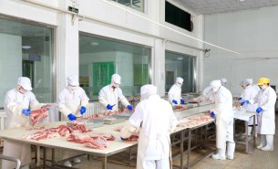 探索自動檢重秤在羊肉及多種肉類重量分選中的創新應用