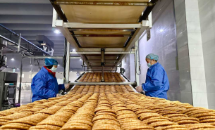 了解餅干配重機如何實現精準配重及自動化輸送，提升餅干生產效率