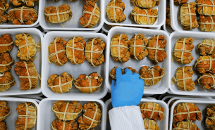 探索青蟹重量分選機(jī)如何實(shí)現(xiàn)青蟹精準(zhǔn)重量分選及產(chǎn)業(yè)價值