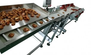 探究珠海大航重量分選機(jī)省時省力省人工的奧秘