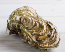 生蠔自動分揀機 牡蠣重量分選機 海蠣子分揀設備視頻