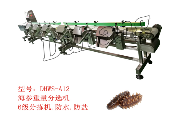 1552552304113939.jpg 海參分選機.jpg