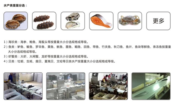 重量分選機水產應用