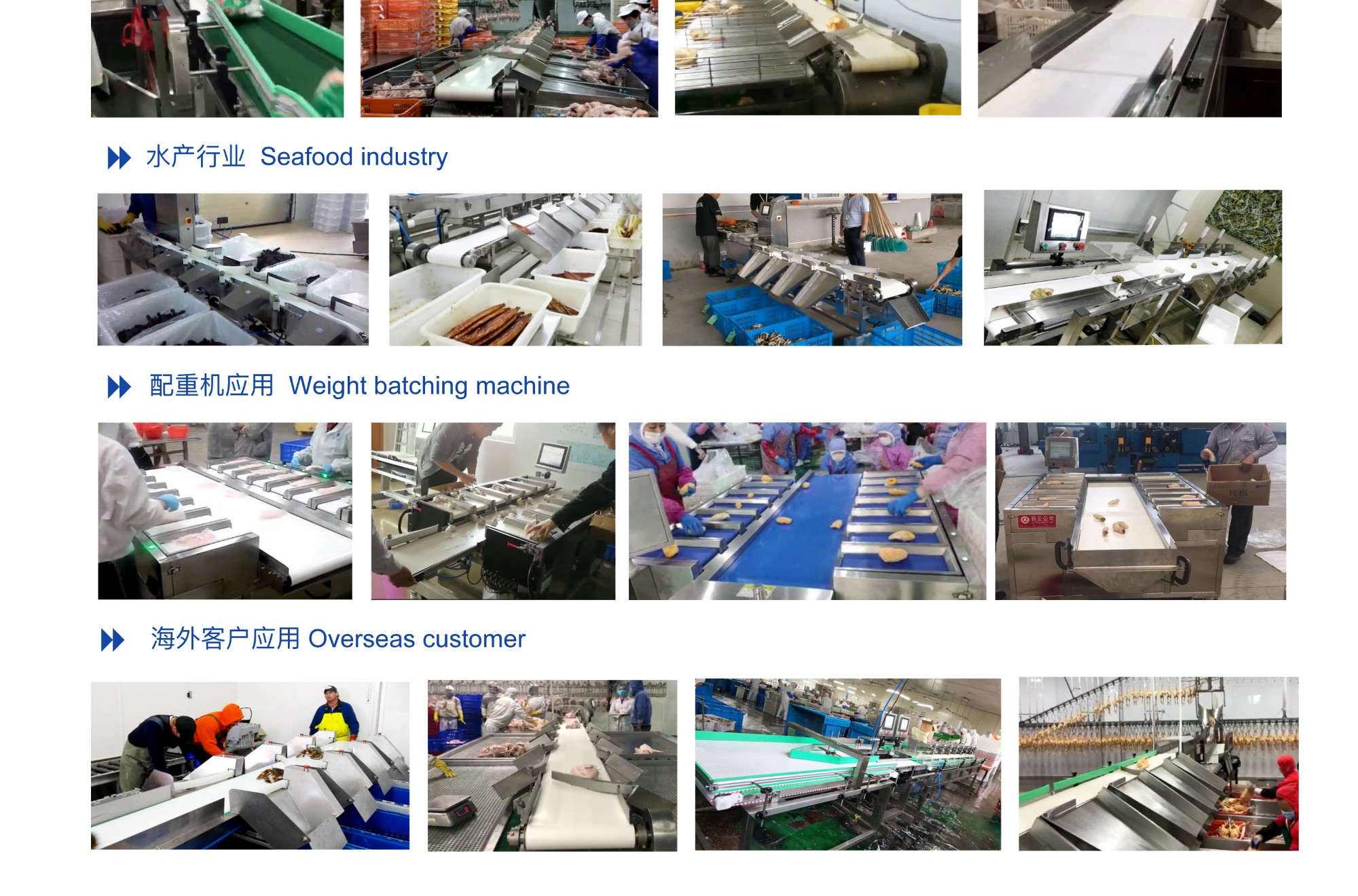 1663137676304277.jpg 1663137676304277.jpg