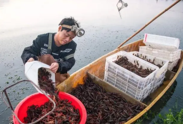 1677741476100965.png 1677741476100965.png